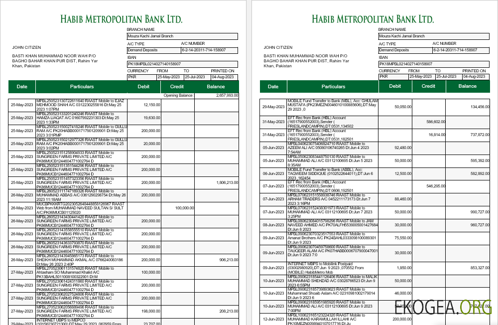 Pakistan Habib Metropolitan relevé bancaire Modèle Word et PDF, 5 pages 1 2